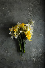 Beautiful bouquet of yellow daffodils on an dark green gray background. Copy space. Can be used as a card, background for screensavers, greetings.