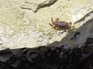 MICR pictures in Sultanate of Oman