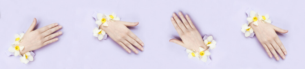 Collage Hands with spring flowers sticking out of hole  torn paper background.Cosmetics hand skin care and wrinkle reduction.Skincare and moisturizing concept. Beauty, fashion panoramic