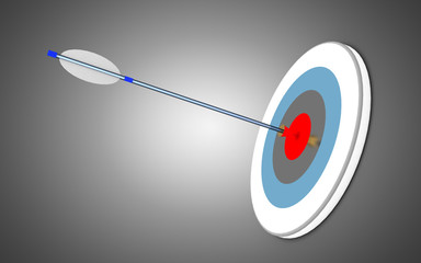 arrows and target. success business concept . 3d illustration