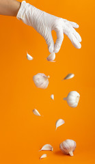 Hand in surgical glove falling garlic, isolated on orange background