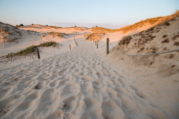 desert dune landscape in Slowinski National Park