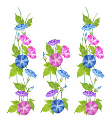 朝顔水彩イラスト