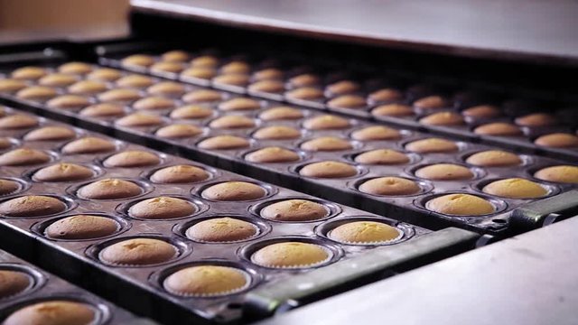 Closeup on freshly baked cupcakes travelling on conveyor belt in a food factory
