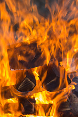Hot fire wood in fireplace
