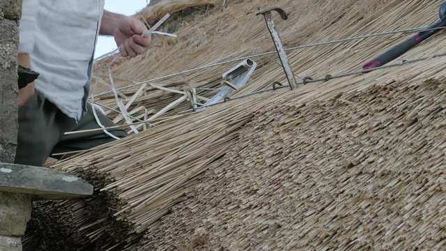 A Thatcher Cut The Bundle Of dry Grass And Throw It, Using A Set Pin To Measure the Length Of Thatch On Roof.-  closeup shot