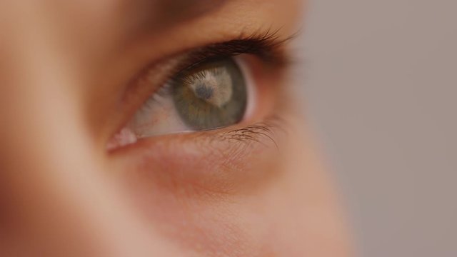 Beautiful hazel eyes looking at a ray of light