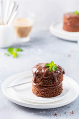 Chocolate mini cake with chocolate ganash and mint