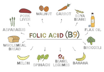 Vitamin B9 (folic acid), infographics. Foods rich in folic acid, natural products, fruits, vegetables on white background.Healthy lifestyle concept