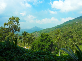 Fototapeta na wymiar thai jungle landscape high top photo