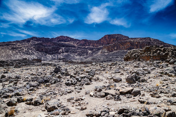 Mount Kilimanjaro. On the way to Lava Tower from Moir Hut / Shira Camp. Landscape