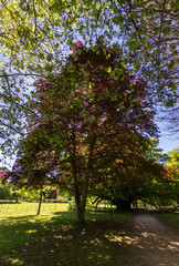 Naklejka premium Cheverny castle and gardens in Loire valley (France)