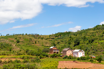 Fototapeta na wymiar Landscape shots of green fields and landscapes on the island of Madagascar