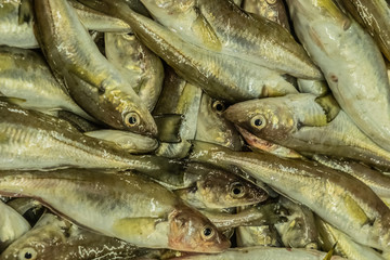 Red mullet in a box at the fishing market. Selling fresh food. Seafood, delicacy. Gourmet cuisine.