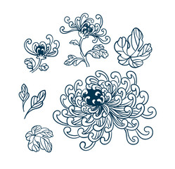 chrythantemum japanese chinese vector flower design elements