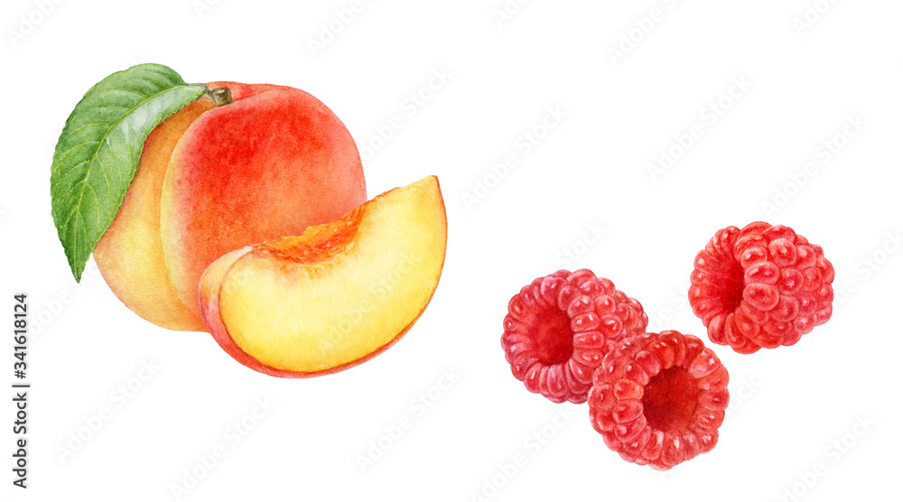 Wall mural Peach raspberry set watercolor isolated on white background - Wall murals