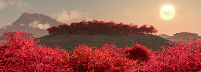 Fototapete bei efototapeten.de bestellen   