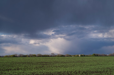 Spring stormy sky with clouds before the rain. Sky and field landscape.
