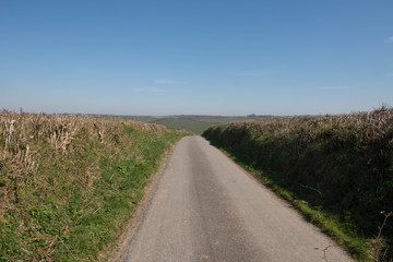 Fototapeta na wymiar Quiet Single Track Country Lane in Rural Devon, England, UK