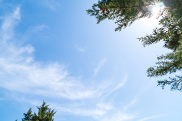 Bella giornata di primavera