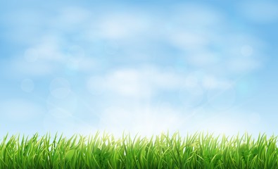 Obraz na płótnie Canvas Field or meadow with green spring grass. Realistic horizontal landscape background with blue sky and lawn. Vector illustration.