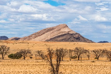 Fototapeta premium Landscape Namibia