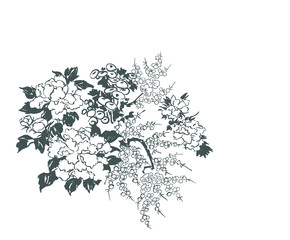 chrysanthemum card nature landscape view vector sketch illustration japanese chinese oriental line art design