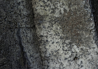 Basalt, no out of focus, stacking image, high definition.