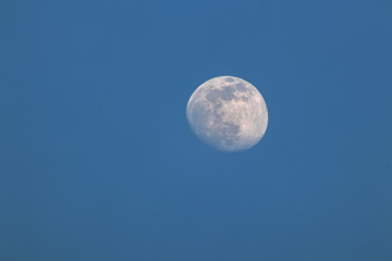 Mond (luna) kurz vor Vollmond, vor blauem Hintergrund, am Tag, blauer, wolkenloser Himmel, freier Raum links und unten