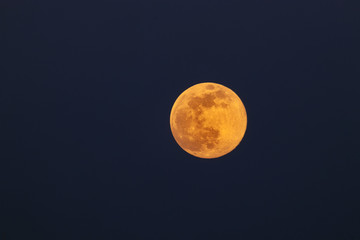 Mond (luna) Vollmond, Blutmond, Supermond vor dunklem Hintergrund, freier Raum links © dreamcatcher