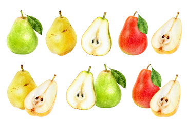 Pear fruit set watercolor isolated on white background