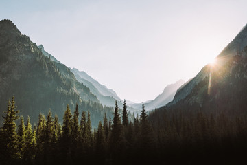 Kyrgyzstan. The nature of Kyrgyzstan. Summer. Mountain landscape. Among the tall, dense green...