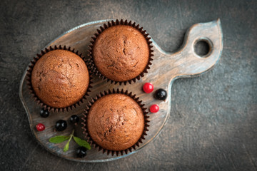 Chocolate and vanilla muffins on a portioned board on a dark background top view copy space.