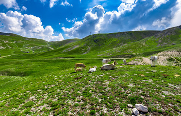 Fototapeta na wymiar Parco Nazionale del Gran Sasso - Piccolo Tibet