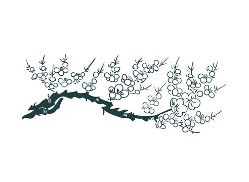 sakura flower blossom element card nature landscape view vector sketch illustration japanese chinese oriental line art design