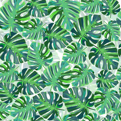 Fototapeta na wymiar Exotic tropical pattern with monstera leaves. Natural seamless background.