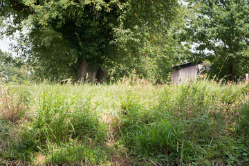 Das Foto wurde in Deutschland aufgenommen, in Dresden. 