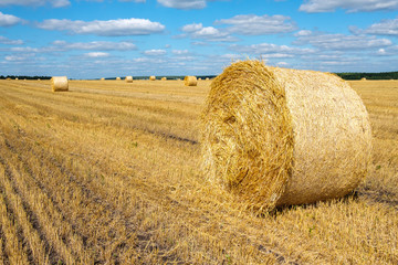 beautiful rural landscape with a roll of hay in the foreground