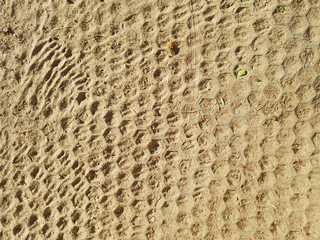 Rasengittersteine oder Paddockplatten mit Sand