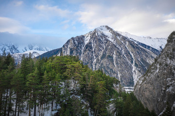 Big Mountain and pine woods  in Aosta Valley