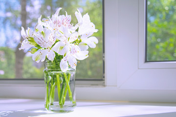 A bouquet of white flowers Alstroemeria stands on a white windowsill under the rays of the sun on a background of trees. The concept of flowers, background, holiday, comfort.