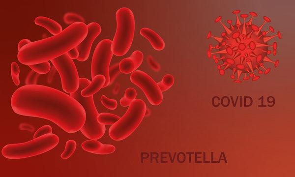 PREVOTELLA COVID 19