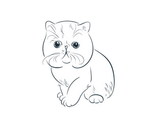 japanese cat sketch vector chinese design isolated elements