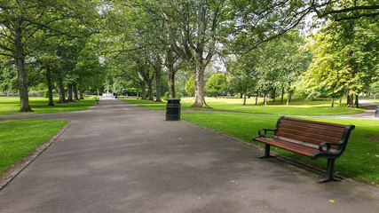 park bench in Victoria Park Aberdeen - obrazy, fototapety, plakaty