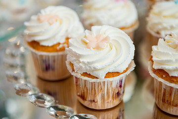 cupcakes with whipped cream