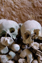 skulls and bones in dark scenery 