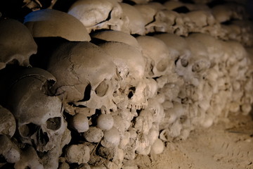 skulls and bones in dark scenery 