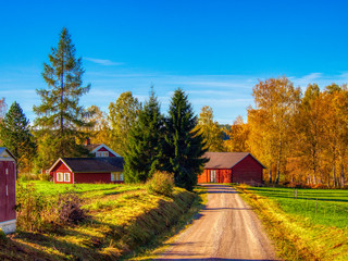 country road with red barn and house in autumn