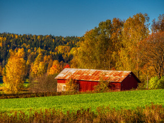 Fototapeta na wymiar red barn in autumn