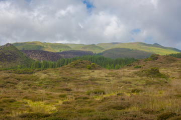 Naklejka premium Fields with blue sky and clouds near gruta do Natal in municipality of Praia da Vitoria, on the island of Terceira